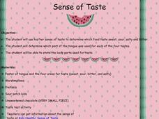 Sense of Taste Lesson Plan Sense of Taste Lesson Plan