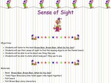 Sense of Sight Lesson Plan Sense of Sight Lesson Plan
