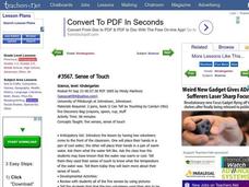 Sense of Touch Lesson Plan Sense of Touch Lesson Plan