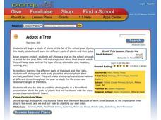 Adopt a Tree Lesson Plan Adopt a Tree Lesson Plan