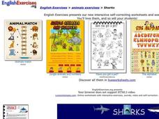 Sharks Interactive Sharks Interactive