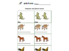Singular and Plural Nouns Worksheet Singular and Plural Nouns Worksheet