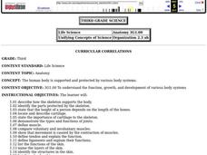 Skeletal System Lesson Plan Skeletal System Lesson Plan