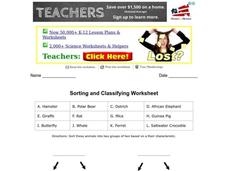 Sorting and Classifying Organizer Sorting and Classifying Organizer