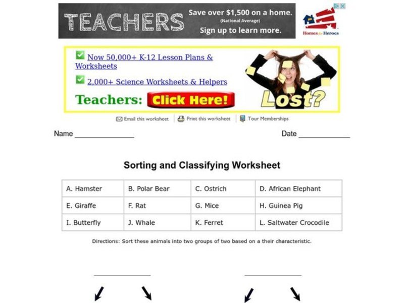Sorting and Classifying Organizer Sorting and Classifying Organizer