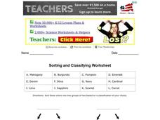 Sorting and Classifying Worksheet Organizer Sorting and Classifying Worksheet Organizer