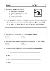 Spelling Plurals Worksheet Spelling Plurals Worksheet