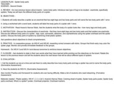 Spider body parts Lesson Plan Spider body parts Lesson Plan