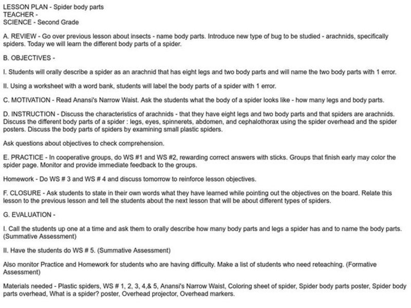 Spider body parts Lesson Plan Spider body parts Lesson Plan