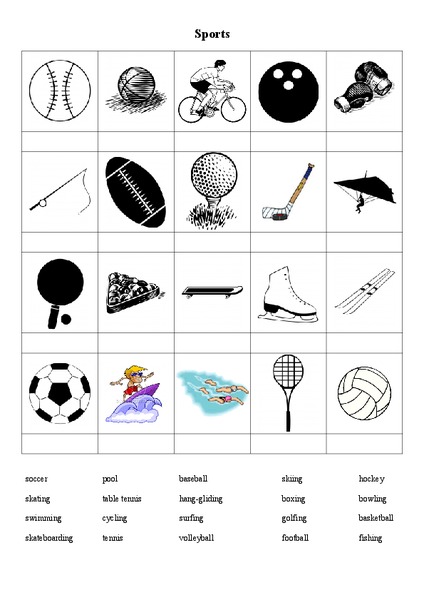 Sports Worksheet Sports Worksheet
