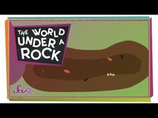 The World Under a Rock! Instructional Video The World Under a Rock! Instructional Video