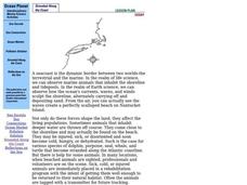 Stranded Along The Coast Lesson Plan Stranded Along The Coast Lesson Plan
