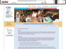 Structure and Function Lesson Plan Structure and Function Lesson Plan