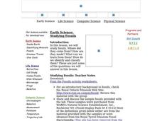 Studying Fossils Lesson Plan Studying Fossils Lesson Plan