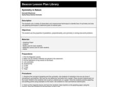 Symmetry in Nature Lesson Plan Symmetry in Nature Lesson Plan