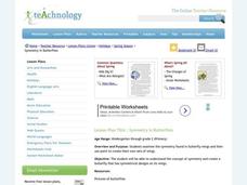 Symmetry in Butterflies Lesson Plan Symmetry in Butterflies Lesson Plan