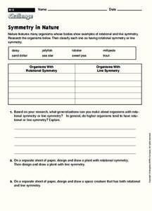Symmetry in Nature Worksheet Symmetry in Nature Worksheet