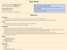 Taste Buds Lesson Plan Taste Buds Lesson Plan