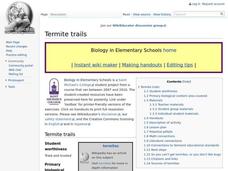 Termite Trails Lesson Plan Termite Trails Lesson Plan