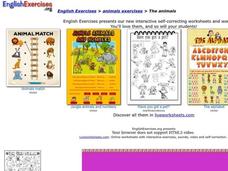 The Animals Interactive The Animals Interactive