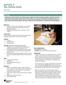The Carbon Cycle Lesson Plan The Carbon Cycle Lesson Plan