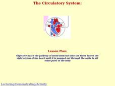 The Circulatory System Lesson Plan The Circulatory System Lesson Plan