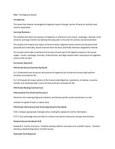 The Digestive System Lesson Plan The Digestive System Lesson Plan