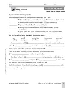The Diversity of Fungi Worksheet The Diversity of Fungi Worksheet