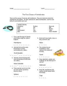 The Five Classes of Vertebrates Worksheet The Five Classes of Vertebrates Worksheet