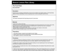 The Food Chain Lesson Plan The Food Chain Lesson Plan