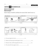 The History of Life Worksheet The History of Life Worksheet