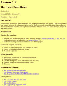 The Honey Bee's Home Lesson Plan The Honey Bee's Home Lesson Plan
