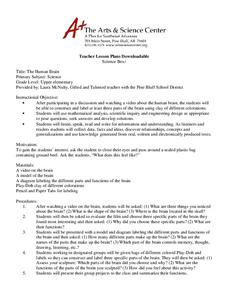 The Human Brain Lesson Plan The Human Brain Lesson Plan