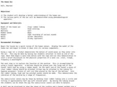 The Human Ear Lesson Plan The Human Ear Lesson Plan