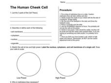The Human Cheek Cell Worksheet The Human Cheek Cell Worksheet