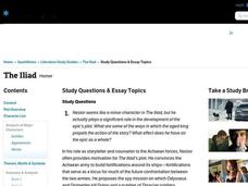The Iliad by Homer: Study Guide - Mini Essays Study Guide The Iliad by Homer: Study Guide - Mini Essays Study Guide