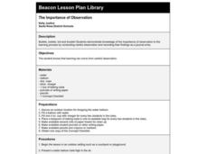 The Importance of Observation Lesson Plan The Importance of Observation Lesson Plan