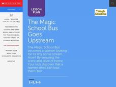 The Magic School Bus Goes Upstream Lesson Plan The Magic School Bus Goes Upstream Lesson Plan