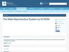The Male Reproductive System Lesson Plan The Male Reproductive System Lesson Plan