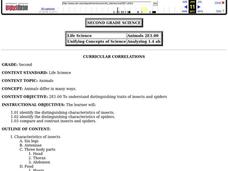 Animals Lesson Plan Animals Lesson Plan