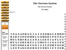 The Nervous System Worksheet The Nervous System Worksheet