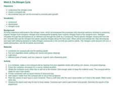 The Nitrogen Cycle Lesson Plan The Nitrogen Cycle Lesson Plan