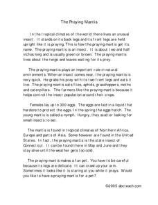 The Praying Mantis Worksheet The Praying Mantis Worksheet