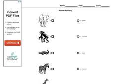 Animal Matching Worksheet Animal Matching Worksheet