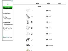 Animals Worksheet Animals Worksheet