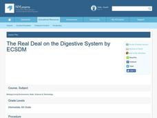 The Real Deal on the Digestive System Lesson Plan The Real Deal on the Digestive System Lesson Plan