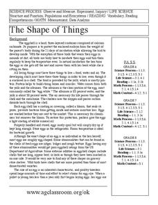 The Shape of Things Lesson Plan The Shape of Things Lesson Plan