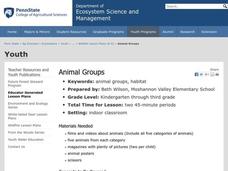 Animal Groups Lesson Plan Animal Groups Lesson Plan