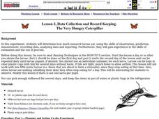 The Very Hungry Caterpillar Lesson Plan The Very Hungry Caterpillar Lesson Plan