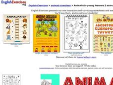 Animals Interactive Animals Interactive